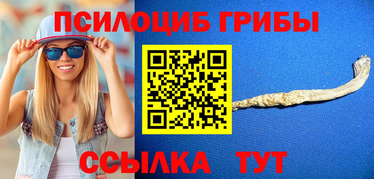 Псилоцибиновые грибы GOLDEN TEACHER  Вход с VPN  Улан-Удэ 