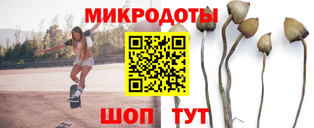 Псилоцибиновые грибы MAGIC MUSHROOMS Улан-Удэ